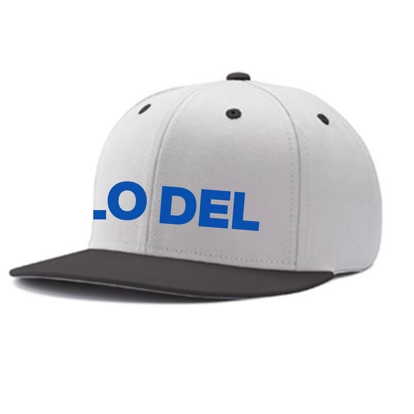 FLO DEL Two-Tone Snapback Hat by Champro | 2 Colors